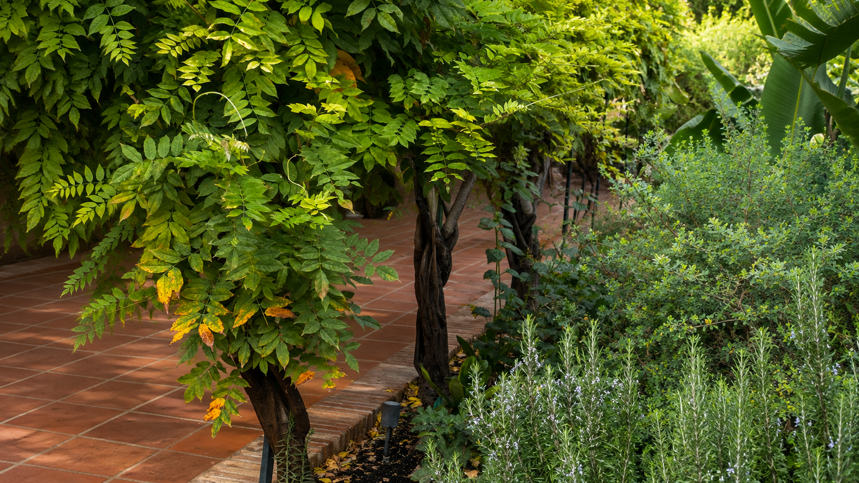 Paisaje exterior