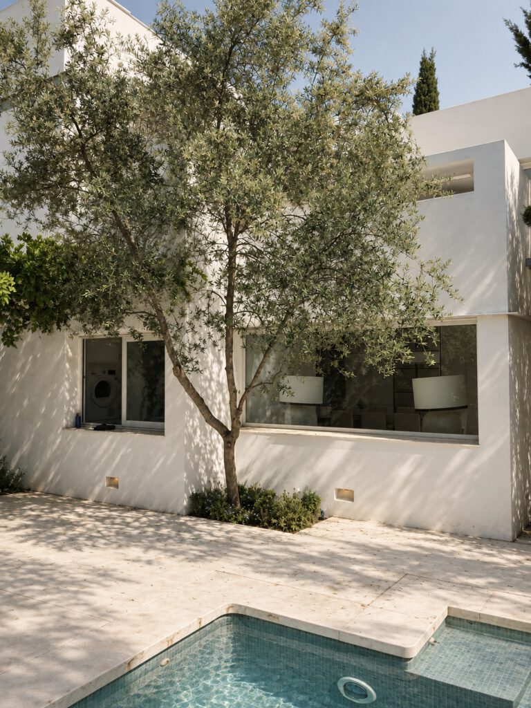 Fachada blanca con olivo, vegetación y zona exterior ajardinada.