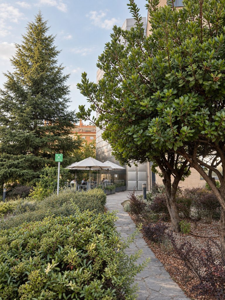 Jardín de acceso con vegetación mediterránea en entorno sanitario.